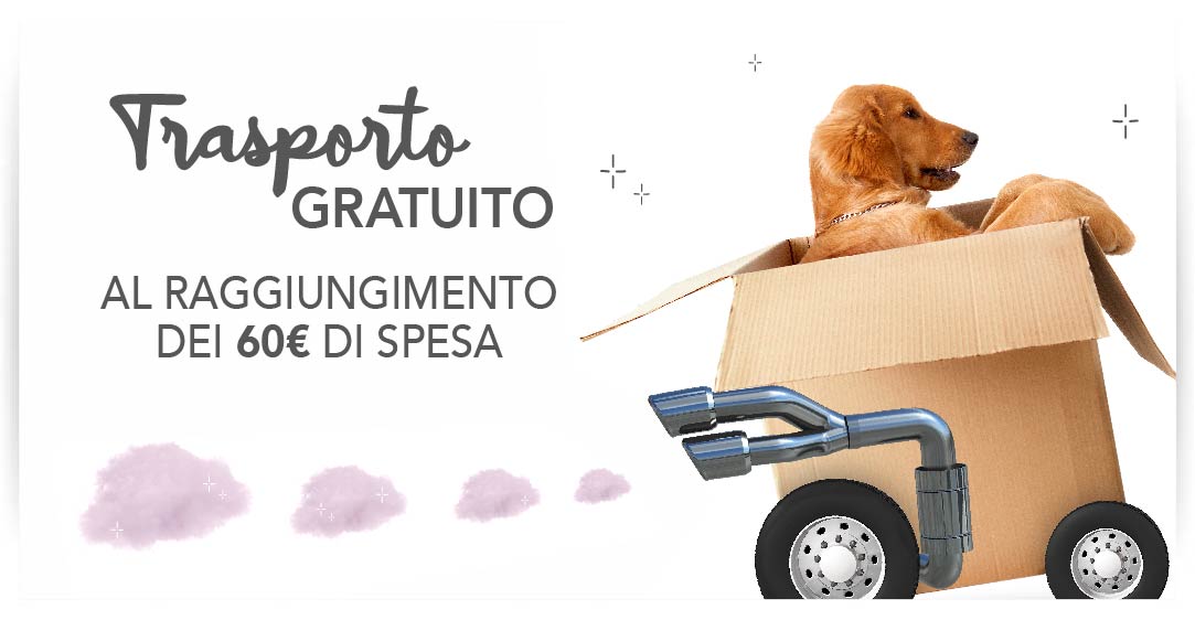 Spedizione gratuita con 60€ di spesa